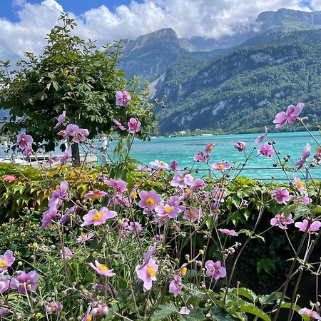 Chalet Romantica Carpe Diem Best View Best Location Brienz  Eksteriør billede