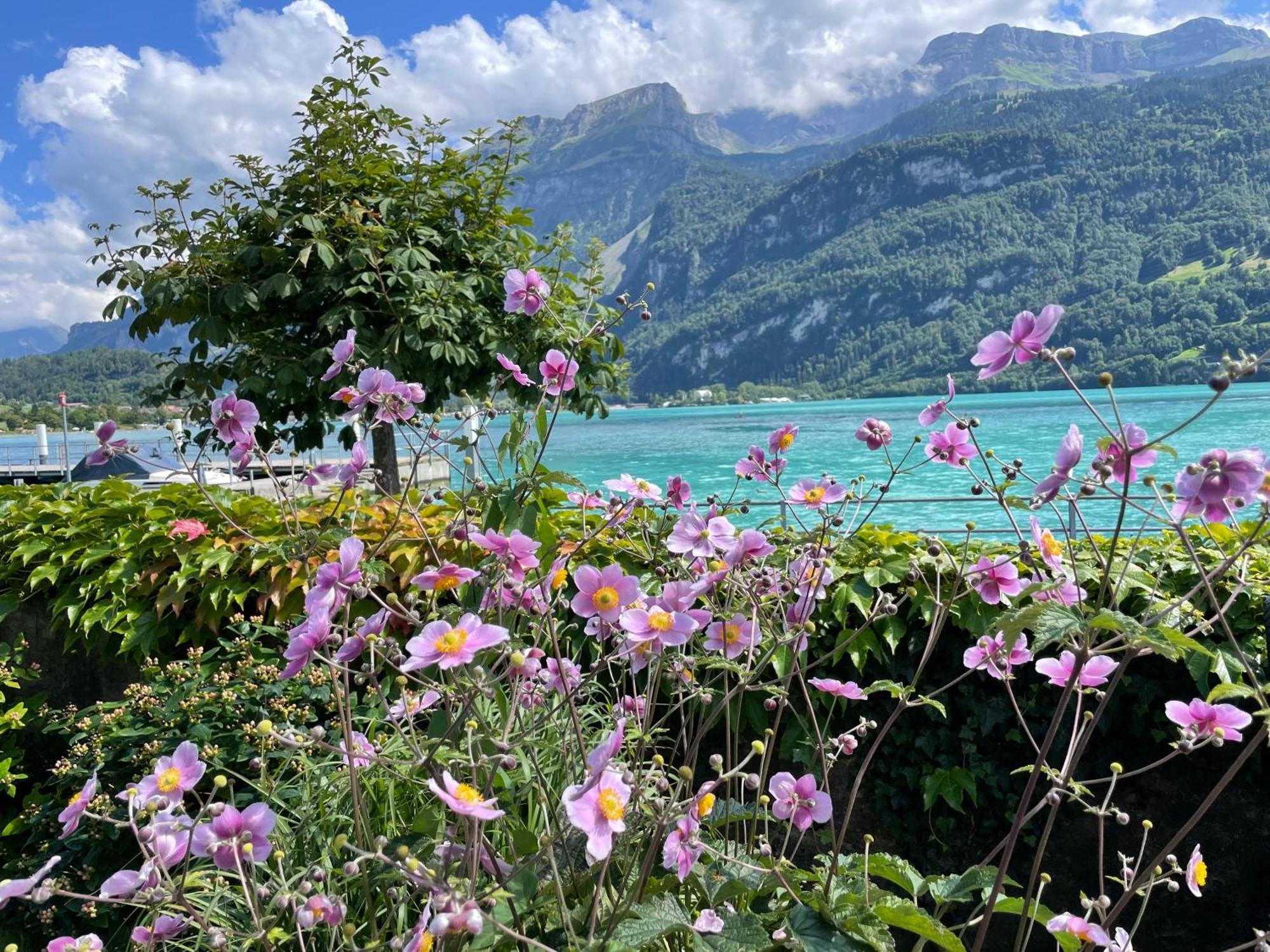 Chalet Romantica Carpe Diem Best View Best Location Brienz  Eksteriør billede